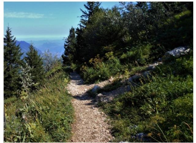 Grenoble Sud Privatisee Au Pied Des Montagnes Apartment Varces-Allieres-et-Risset
